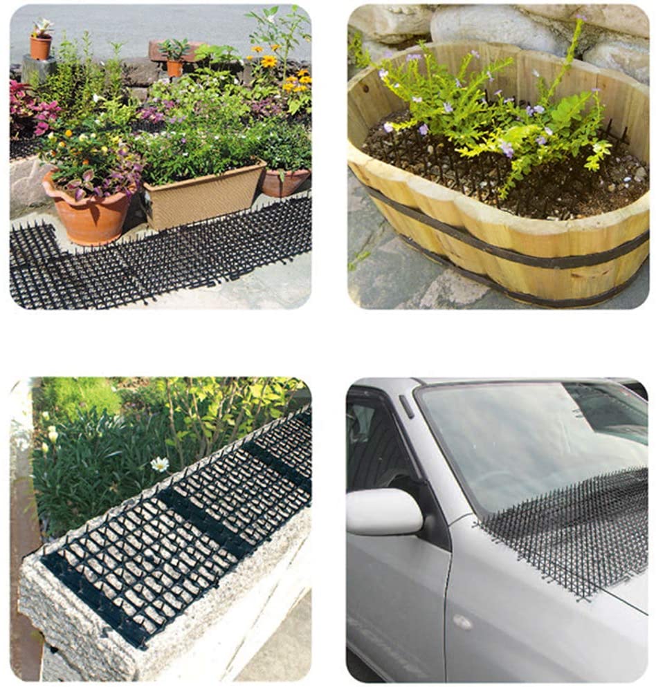 Evita que gatos, perros y otros animales destruyan verduras, plantas, etc. Solución humana para evitar que los gatos y perros excaven. La punta de plástico mantendrá a los gatos alejados, pero no daña a los gatos. Se puede conectar en red en tamaños y longitudes configurables por el usuario. También se puede envolver alrededor de postes o árboles para evitar que los animales suban.