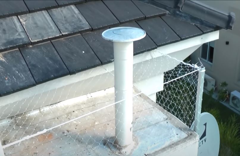Con estas redes evitaremos que nuestros tejados estén llenos de cagadas de paloma